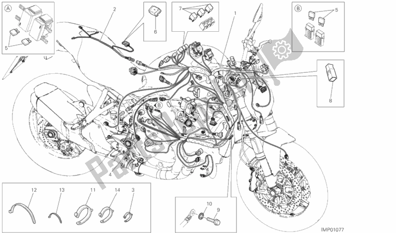 Tutte le parti per il Cablaggio Elettrico del Ducati Monster 821 Dark 2020